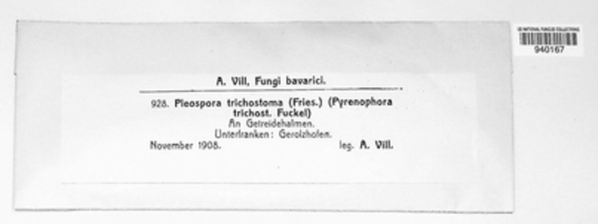 Pyrenophora tritici-repentis image